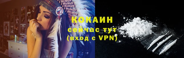 тгк Бикин