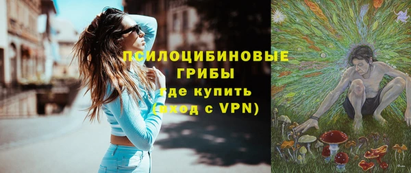 эйфоретик Белокуриха