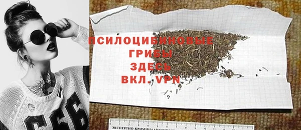 эйфоретик Белокуриха