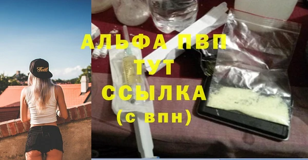 трава Билибино
