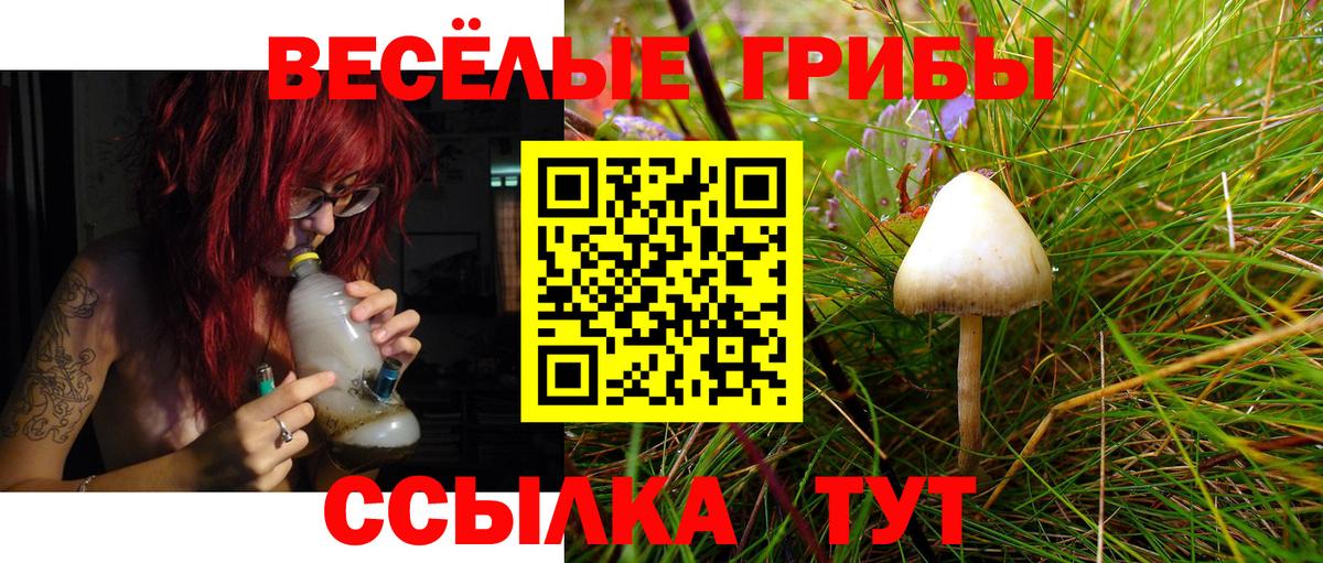 Псилоцибиновые грибы ЛСД Реж